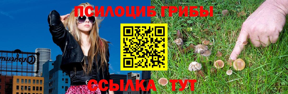 Галлюциногенные грибы мухоморы Красноармейск